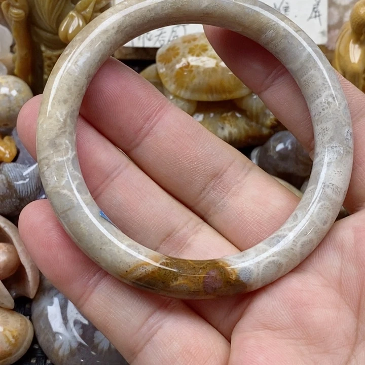 颈饰未镶嵌硅化珊瑚（珊瑚玉）