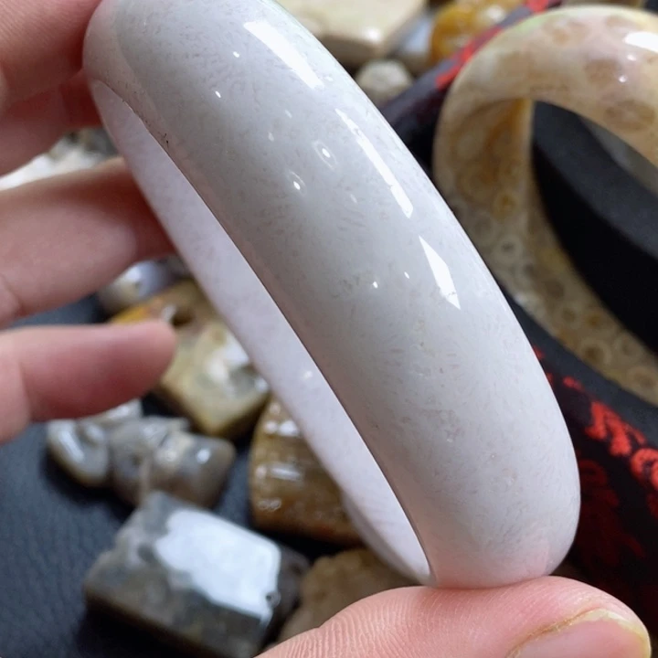 颈饰未镶嵌硅化珊瑚（珊瑚玉）雨**觞有瑕