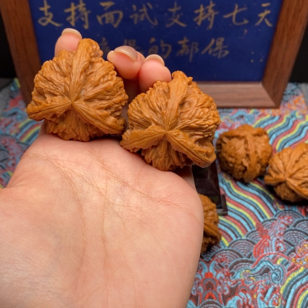 【闪购商品】阿****?白狮