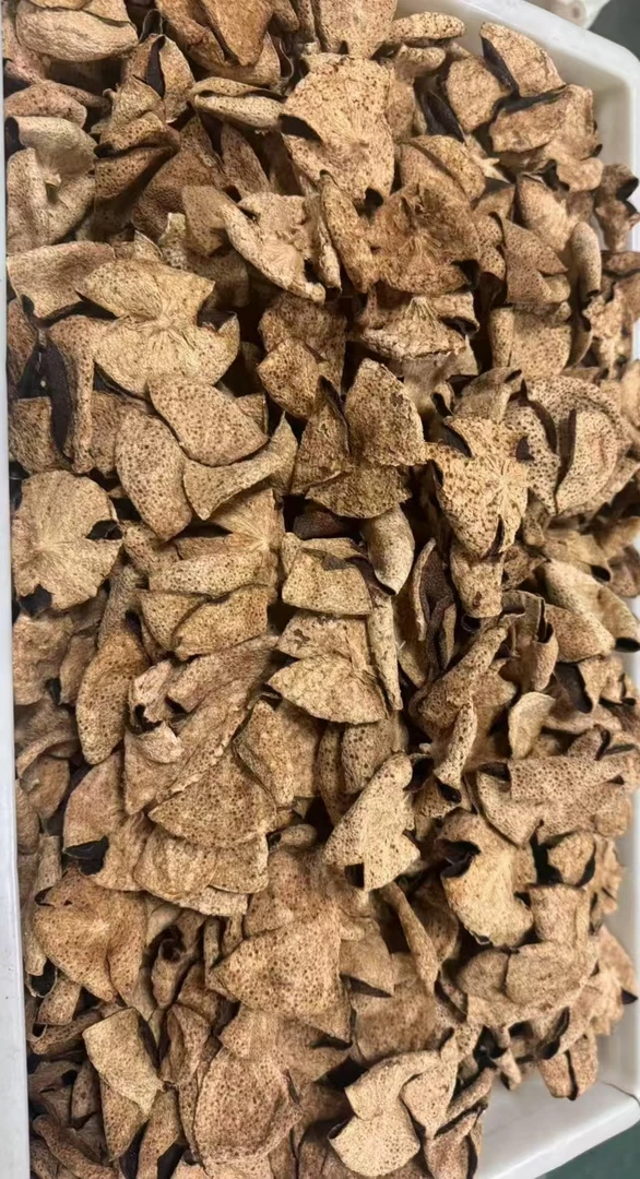 2006年新会西甲老树大红油皮仔