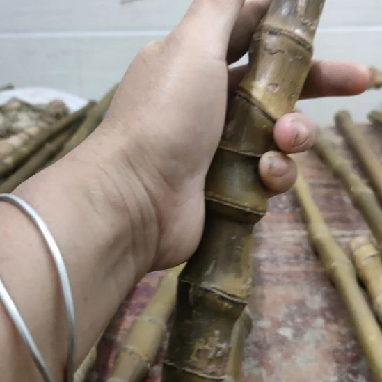 飞****实心玉竹手把件金条料