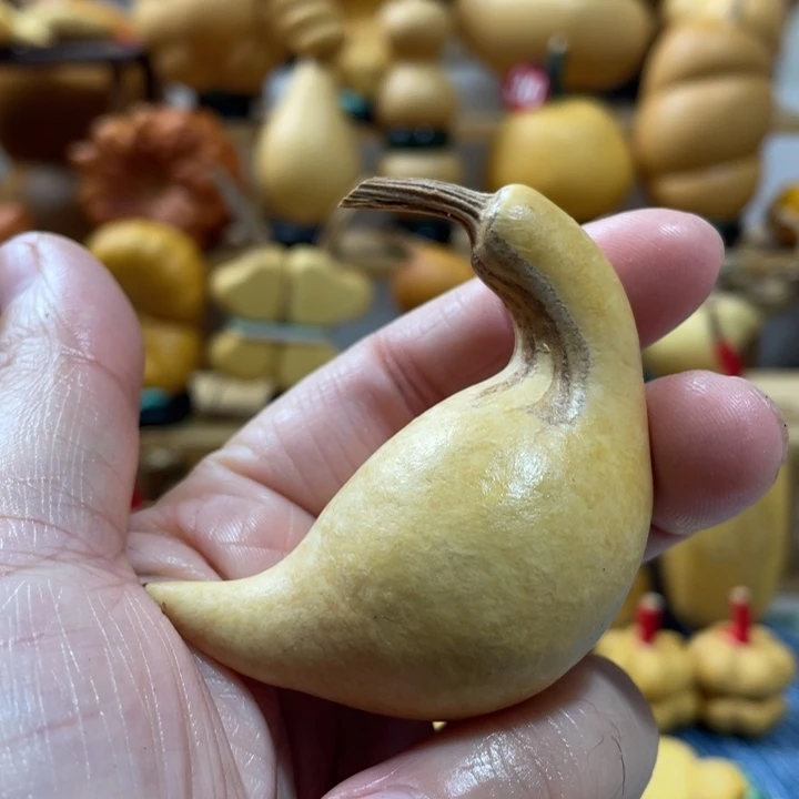 金***子18美好的一天从吃瓜开始啦