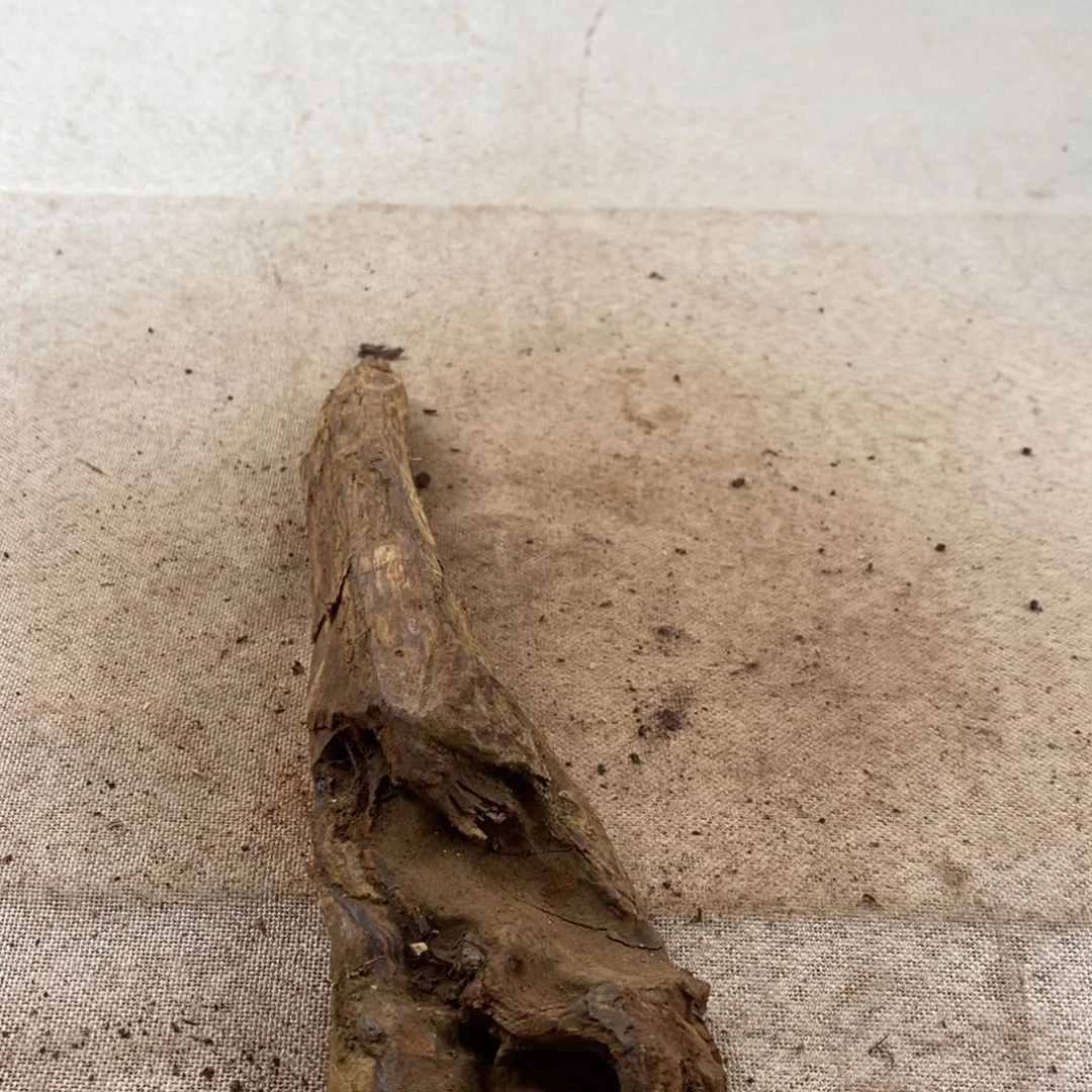 用***9黄花梨/降香黄檀黄花梨随形料子