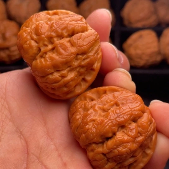 文玩核桃把件秦岭山脉核桃
