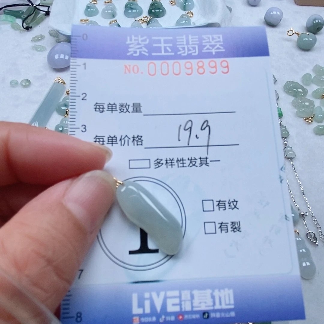 翡翠未镶嵌颈饰冰胶随行