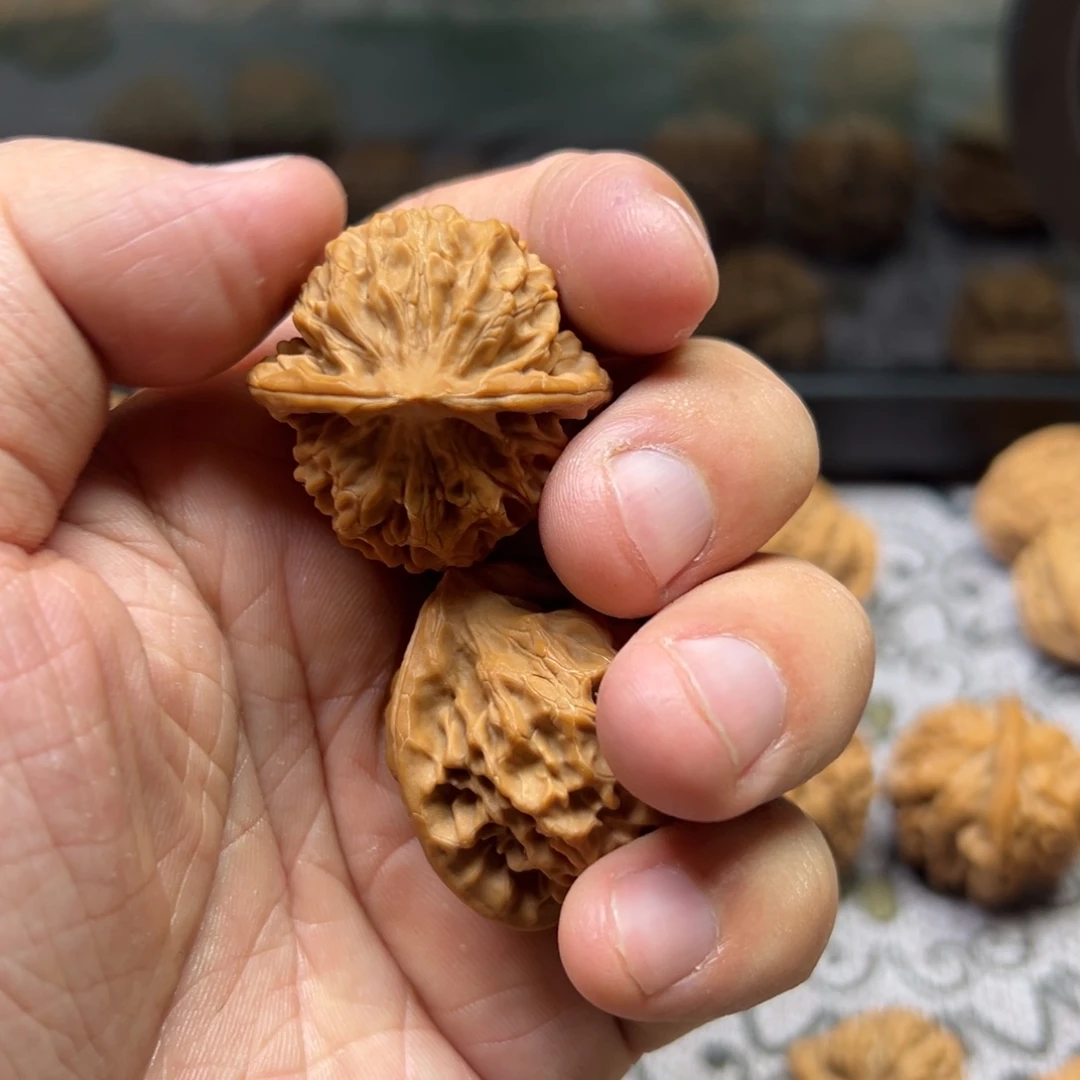 ****t龙脊菩提吊坠金公子