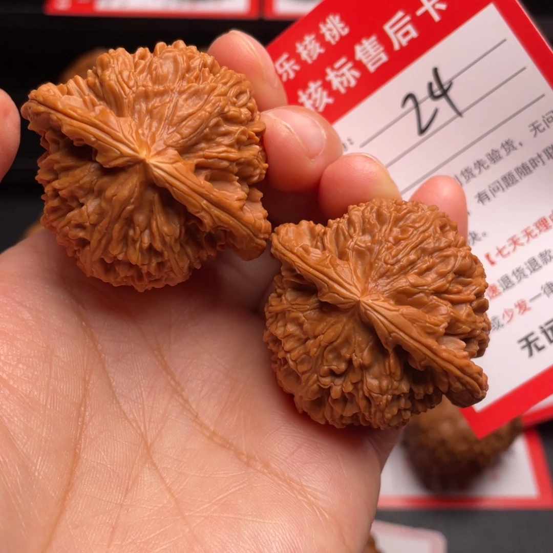 文玩核桃把件白狮子44尺