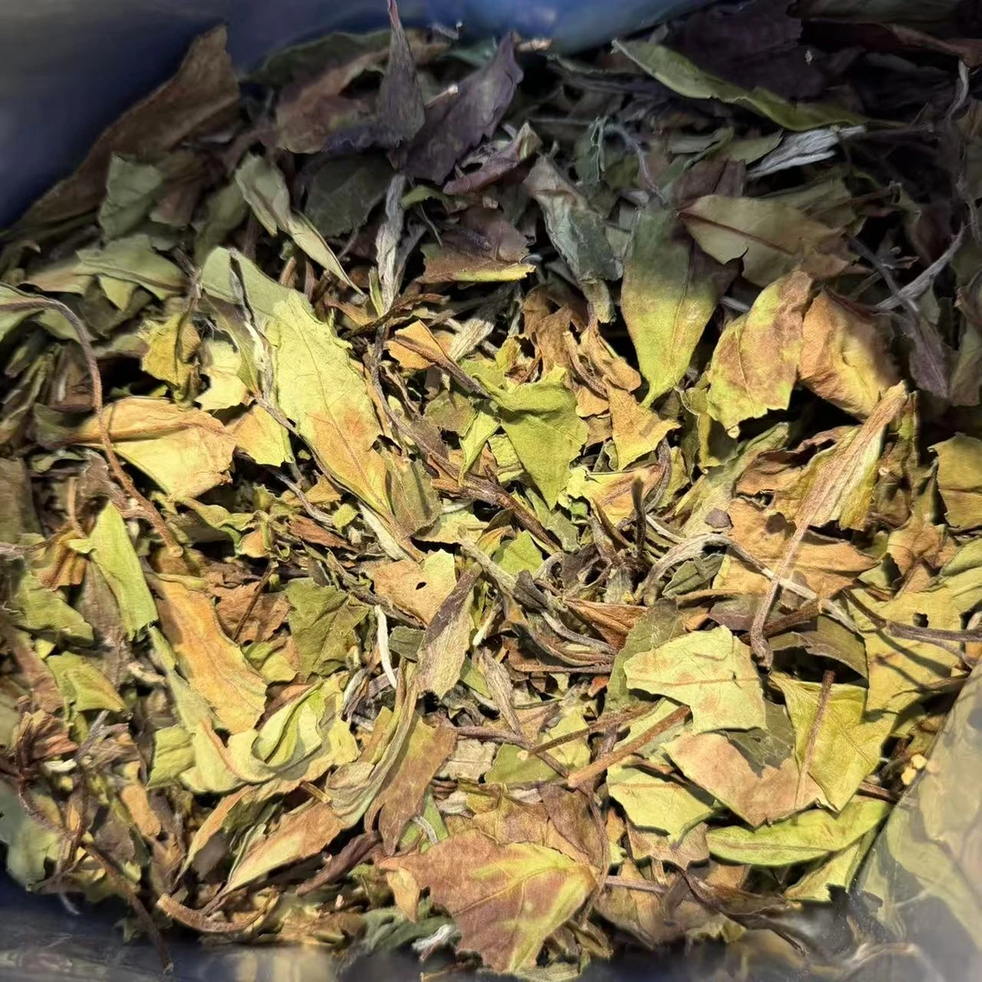 【鑫说】国之白茶·2025年有机奶香春寿眉500克