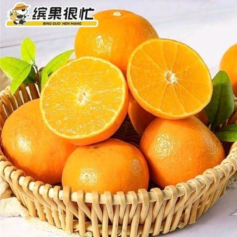 【爆品】爱媛果冻橙一个约200-250g