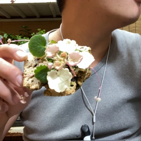 红陶窜****奇一物一拍所见即所得30