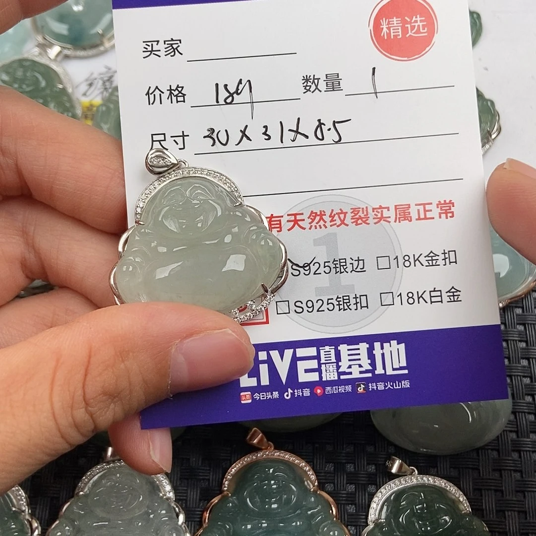 翡翠银S925镶嵌颈饰