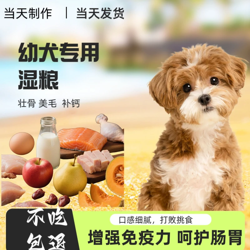 宠物鲜食狗全阶段通用湿粮低脂高蛋白狗零食主食主粮全犬鲜食狗粮