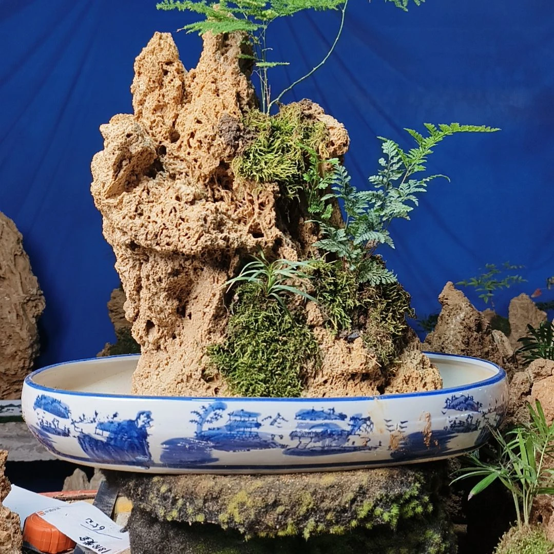 【闪购商品】1****收0510-1    1818贵金属