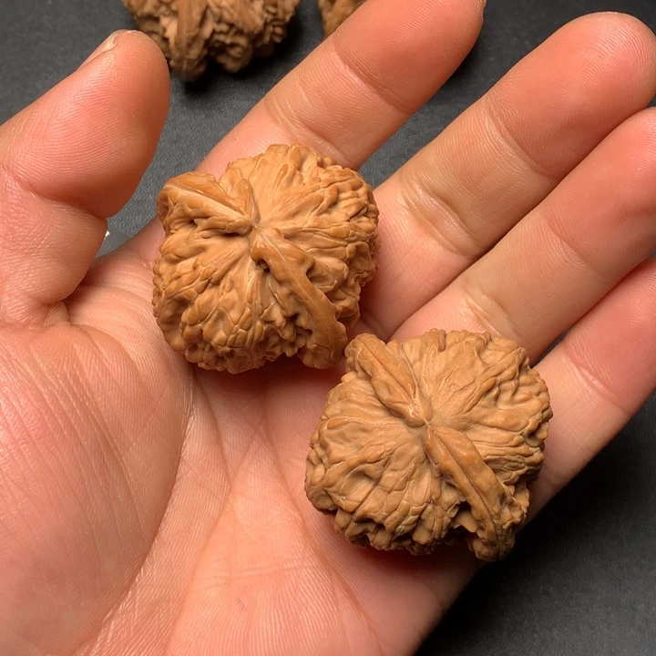 把件文玩核桃40白狮子313