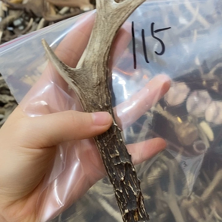 石英石非金属鹿角鹿角