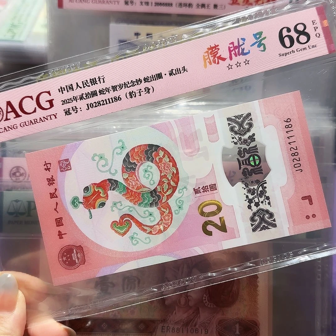 纸028211186。。。朦胧号豹子身