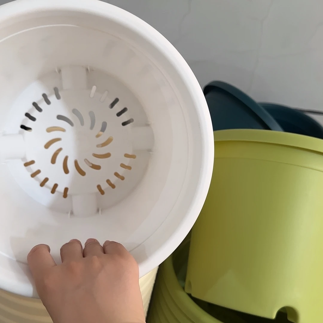 微瑕4号无托8个，白