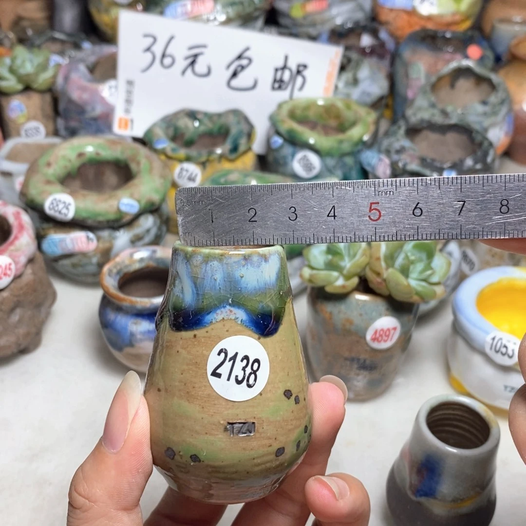 拍5送一个小礼物