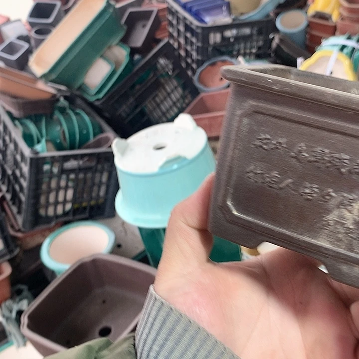 紫砂没有你喜欢吃辣不