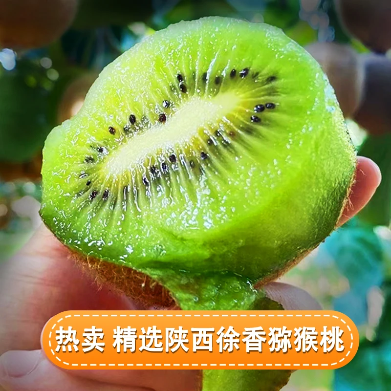 陕西眉县绿心徐香新鲜猕猴桃大果应季新鲜水果维生素c孕妇奇异果