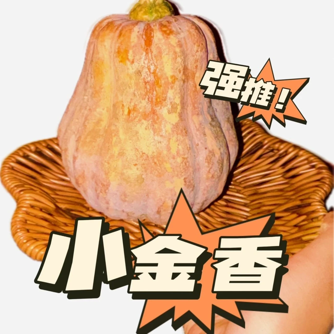 （坏了包赔）河南笨丑花生老南瓜粉糯香甜小金香南瓜蒸炒打粥