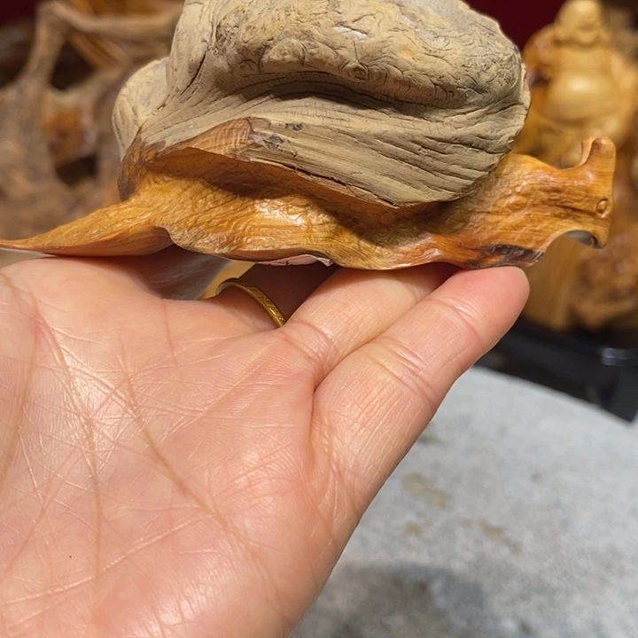 柏木（崖柏）88888888