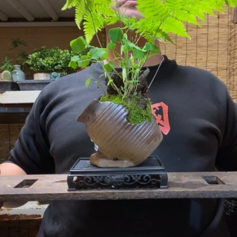 红陶ᝰ****࿐一物一拍所见即所得101