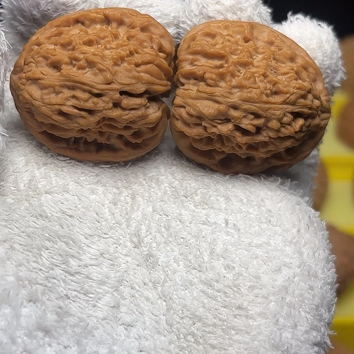 大叶紫檀（黑酸枝木类）凹底拉丝高炮38尺4