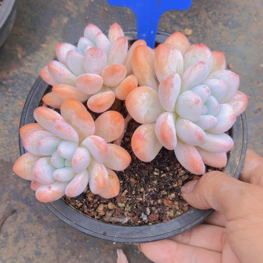 021号线地铁口，我在外面吃饭呢／