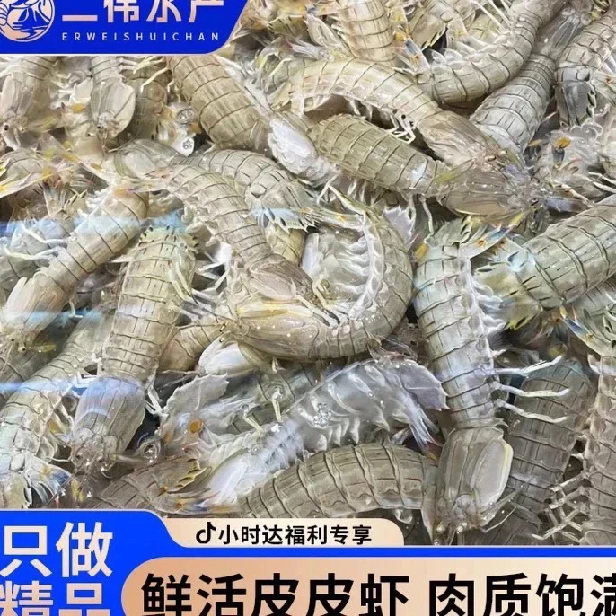 二界沟二虾爬子49.9三斤嫌小勿拍（保鲜不保活）