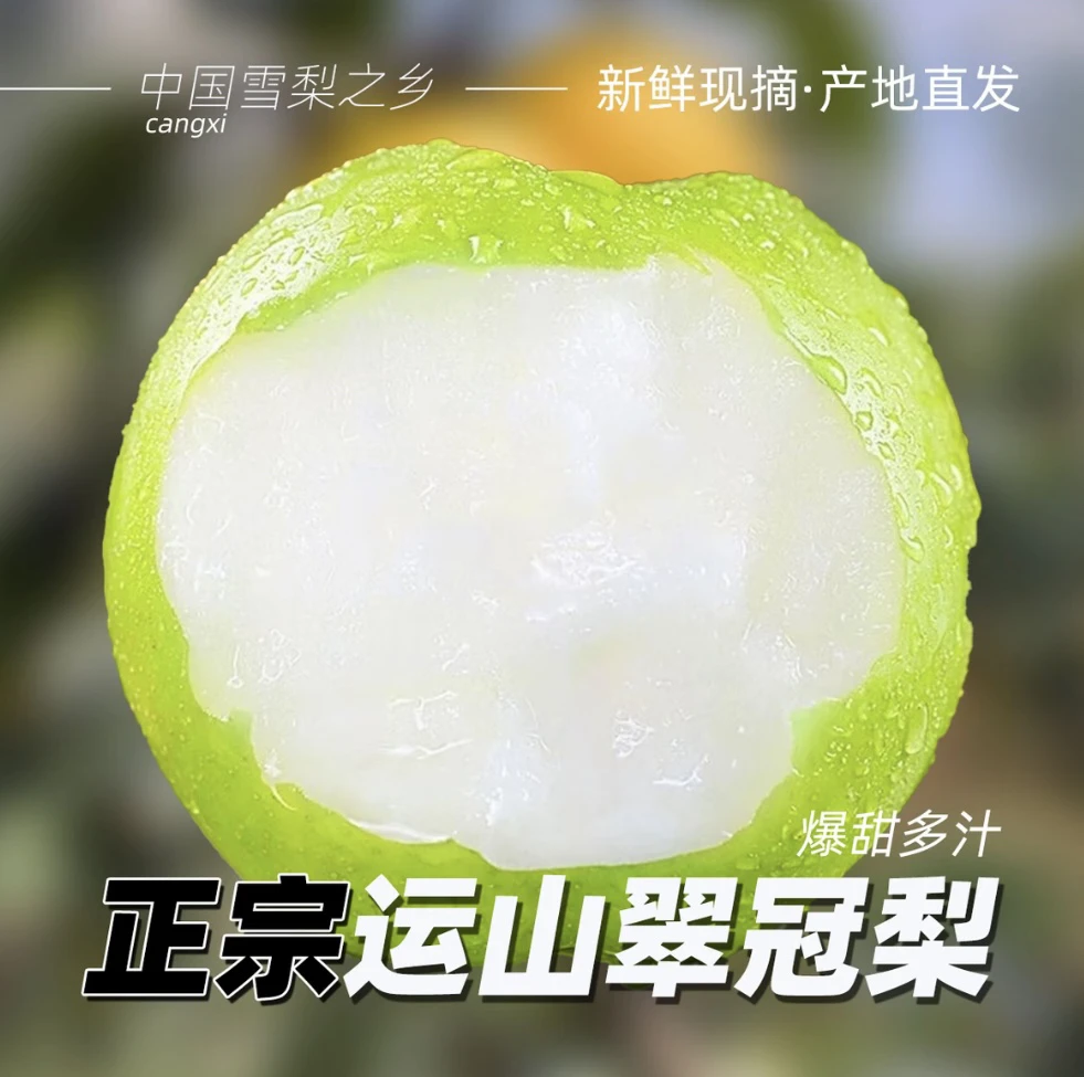 四川苍溪运山翠皇冠酥梨青皮蜜梨新鲜应季水果包邮