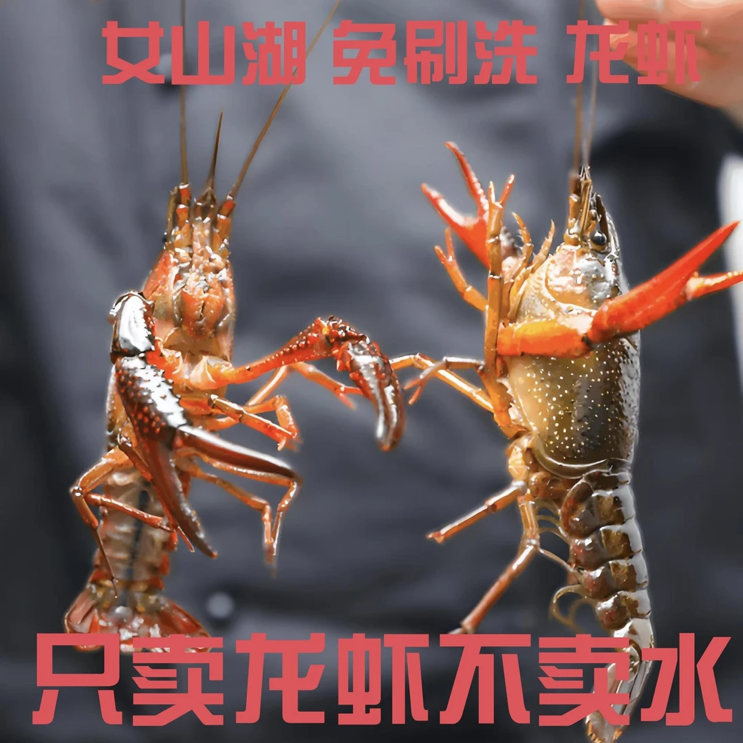 女山湖 免刷洗 龙虾