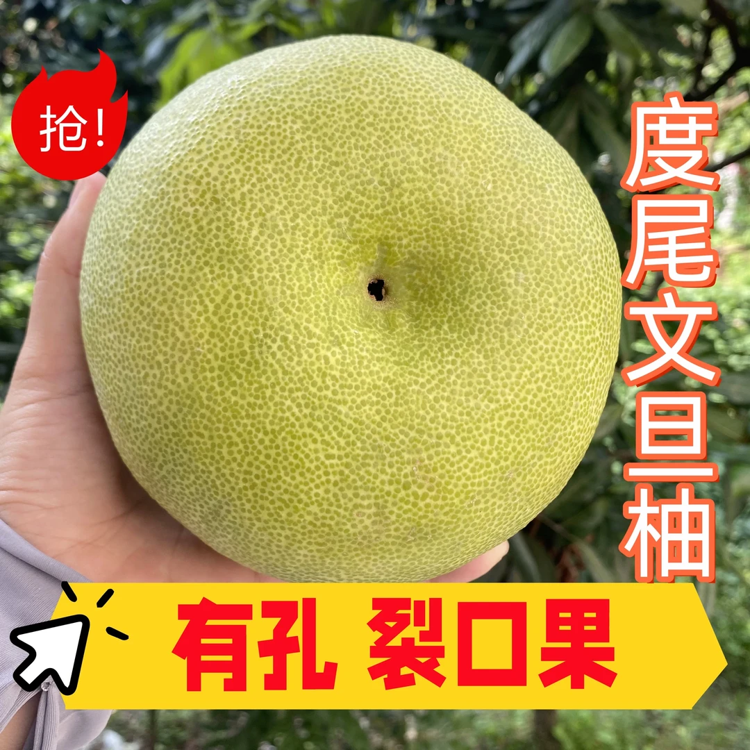 文旦柚洞洞果有小孔福建度尾文旦柚新鲜应季酸甜多汁老少皆宜水果