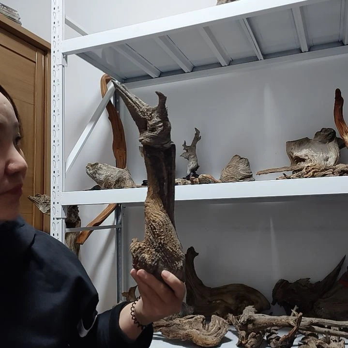 李***哥木纹理坨子摆件，纽斯坨