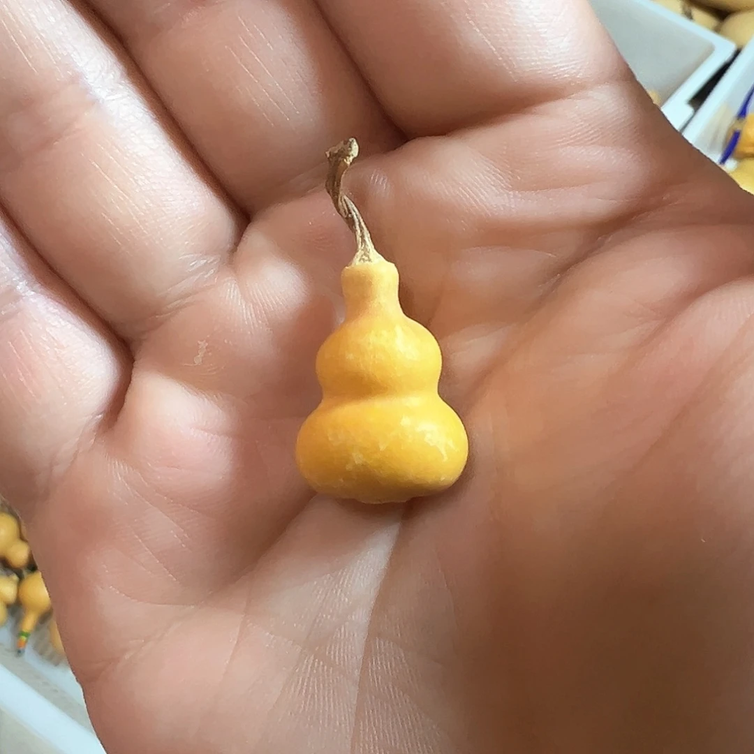 三***定迷你钱袋子小葫芦