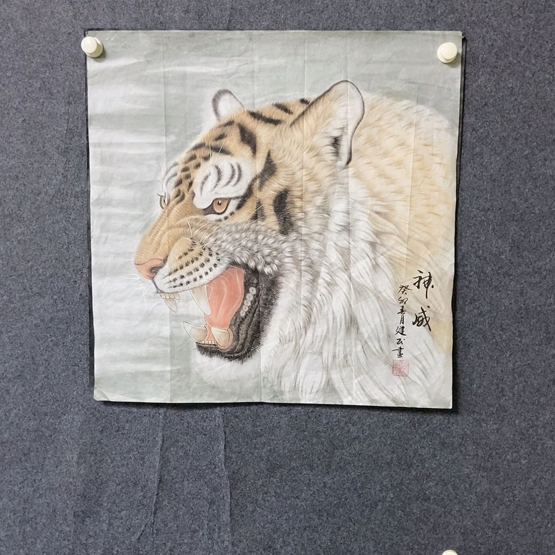 国画四尺斗方工笔虎头一幅