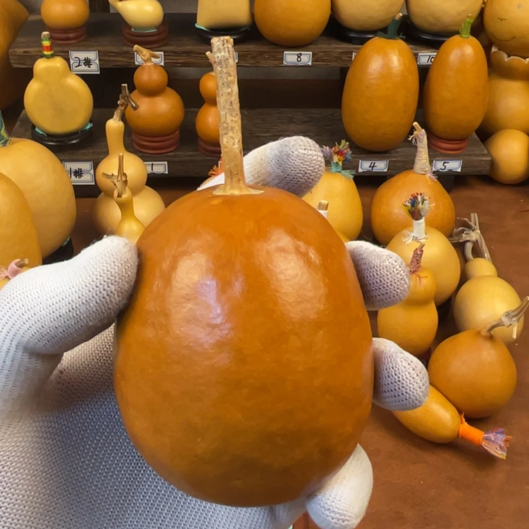 秋***豆葫芦哈哈哈哈哈哈哈哈