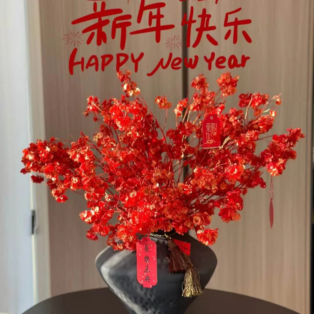 【永生花迎客豆】6-8枝 冷丰鲜花基地直发