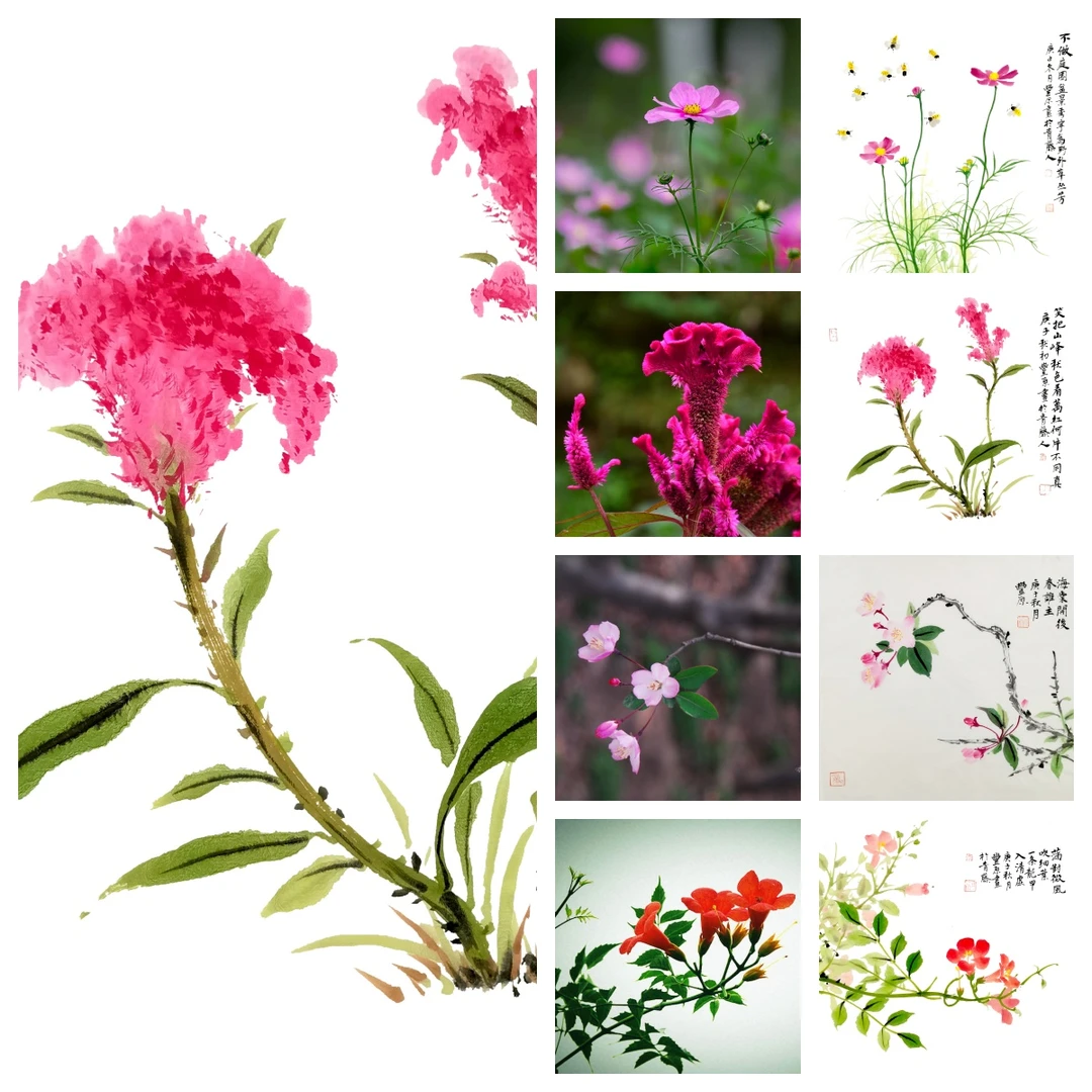 【青藤人】【国画花卉篇】课程课件ppt+教学课堂视频讲解课1节