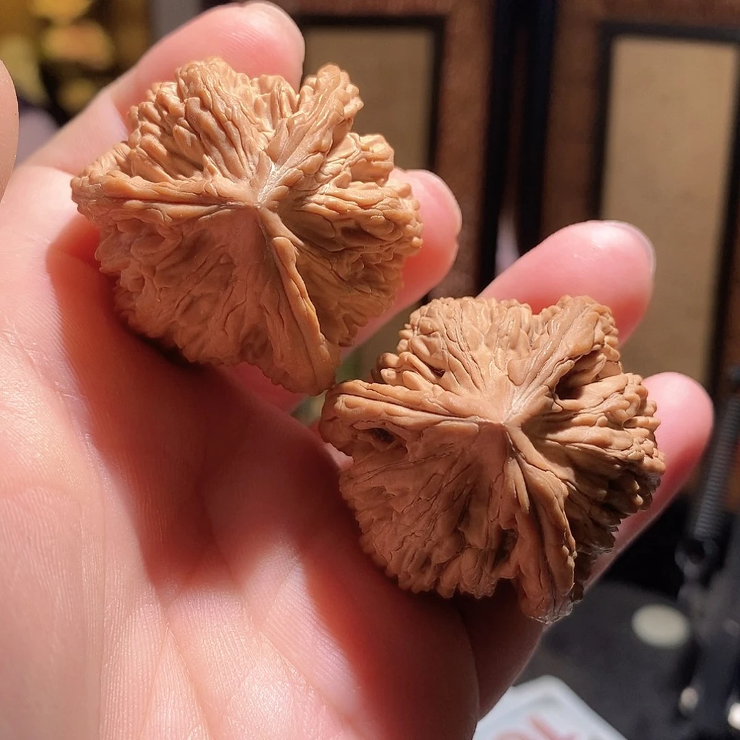 文玩核桃把件43虎头奔全品