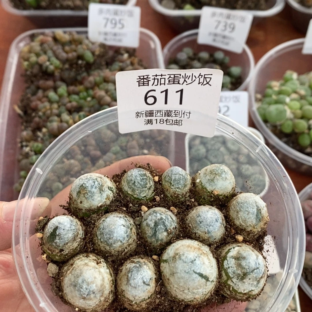 感谢您的支持，00611