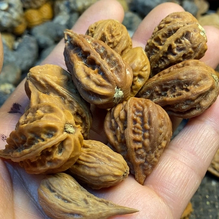 桃核吊坠娜姐我真的39