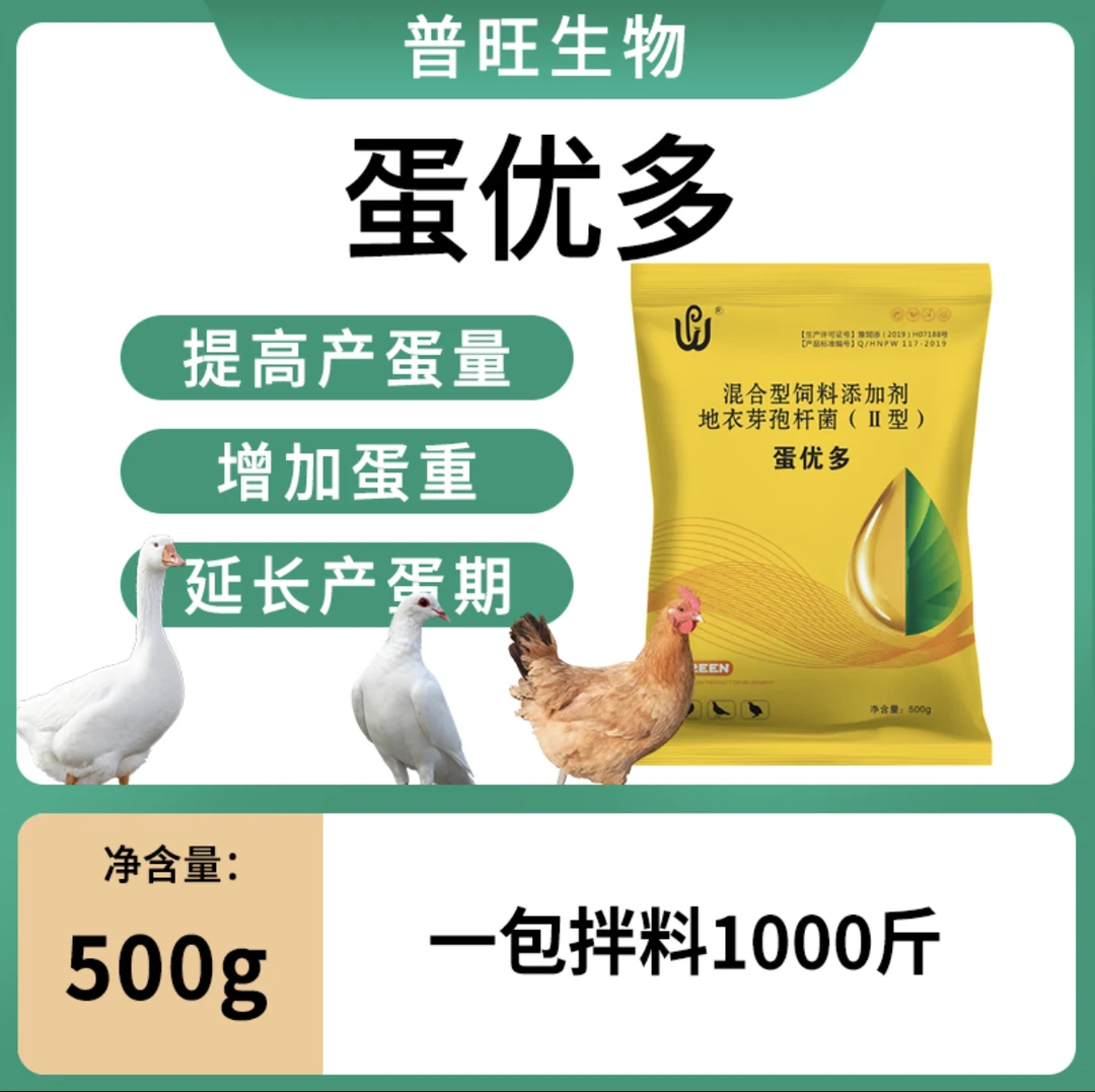 蛋优多使用鸽子鹌鹑鸡增蛋宝提高产蛋量延长蛋期