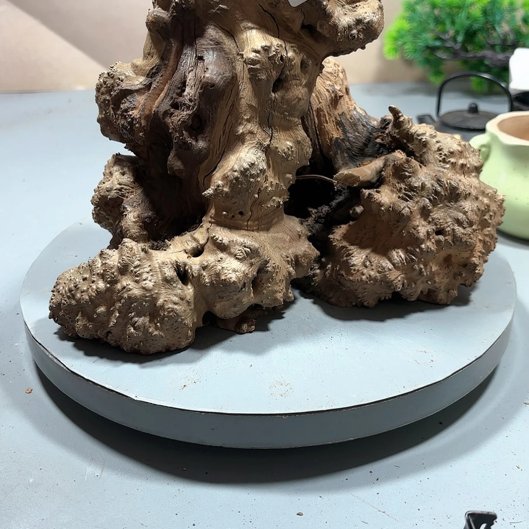 墨***子大果紫檀（缅甸花梨）