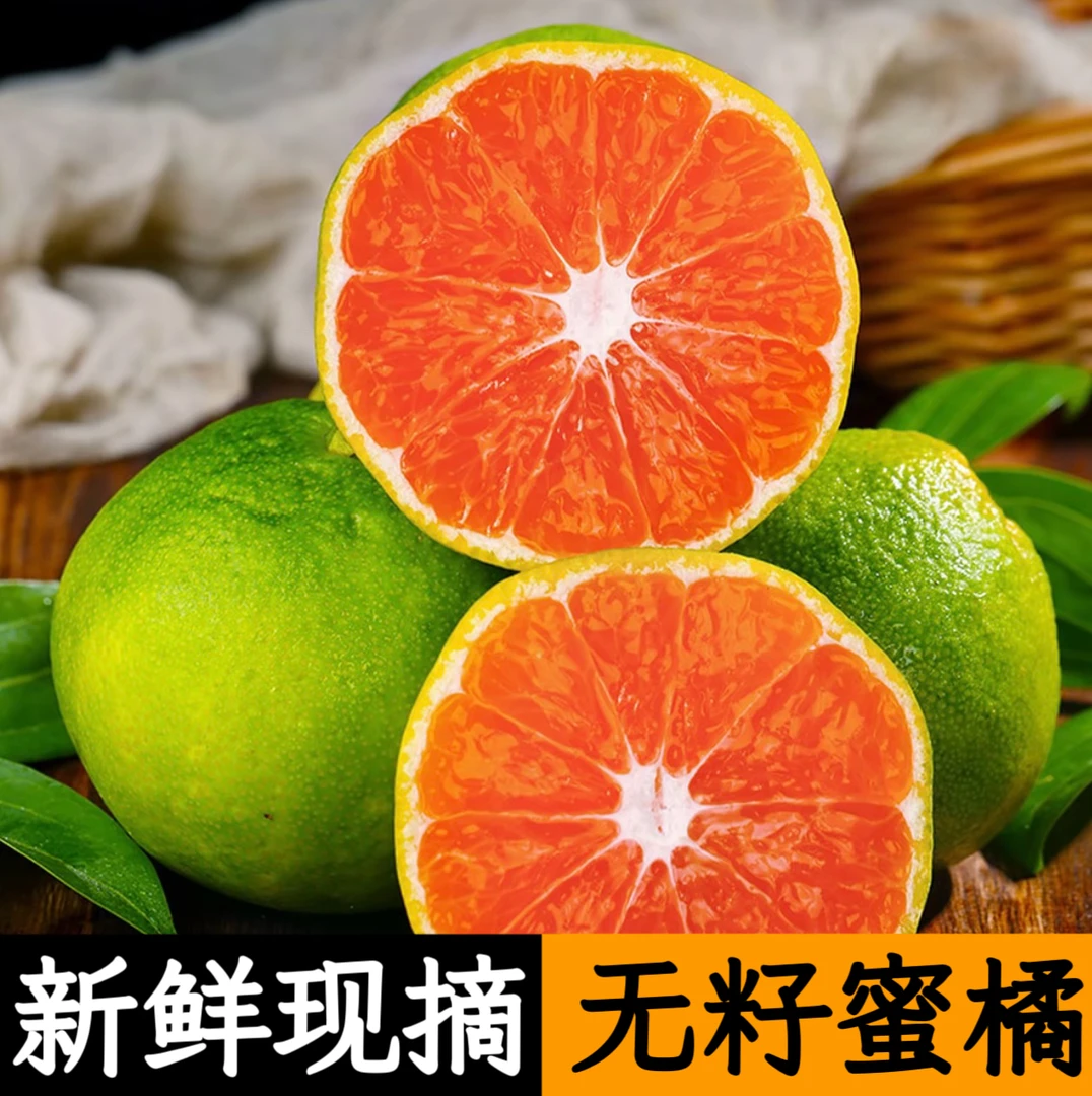 【每日现摘】湖北宜昌青皮蜜橘早熟清甜多汁新鲜皮薄