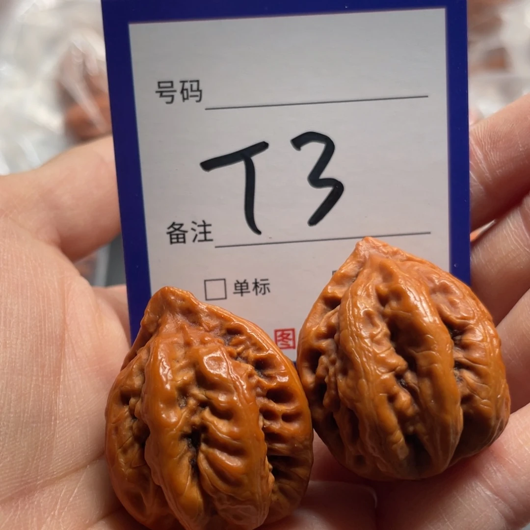 把件文玩核桃核桃树小核桃