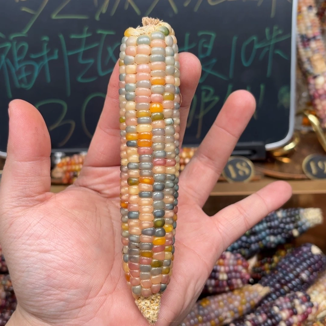 柏香籽/百香籽吊坠"*