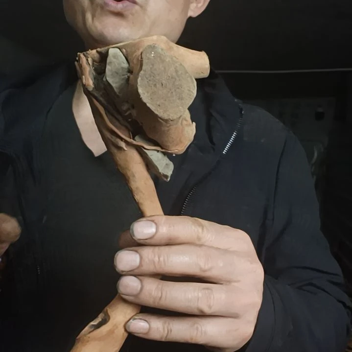 稳定木笑*爷贵州檬子木   铁马鞭   根艺  半成品