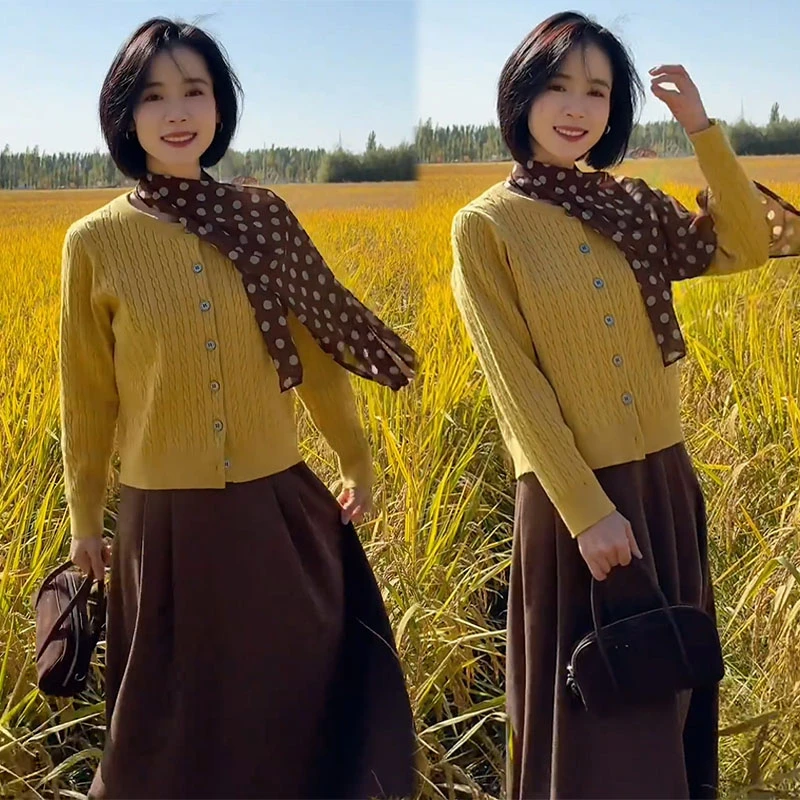 2025秋季新款设计感时尚套装百搭长袖开衫女搭配休闲半身裙两件套