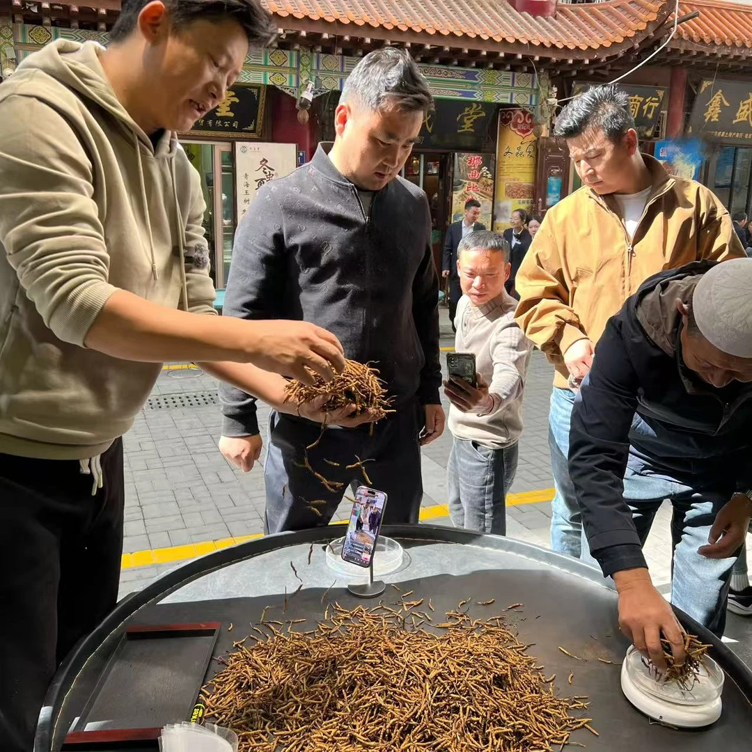 【冬虫夏草】50克 实惠草 二级颜色(有点黑 营养不减) 现场实收